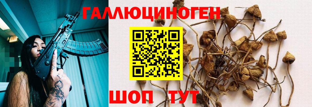 Галлюциногенные грибы мухоморы Котовск