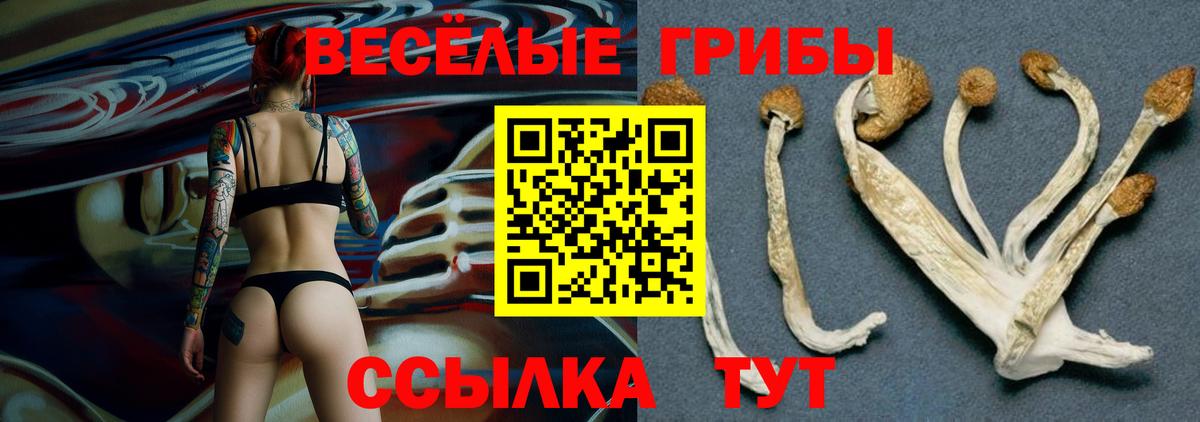 Котовск  Псилоцибиновые грибы мухоморы  Вход с VPN 